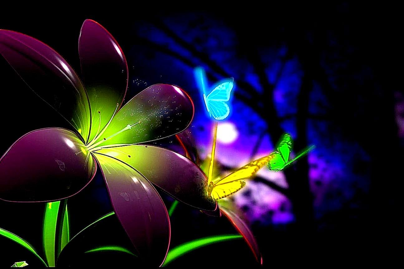 colorful-butterfly-8654-desktop-backgrounds-areahd.jpg