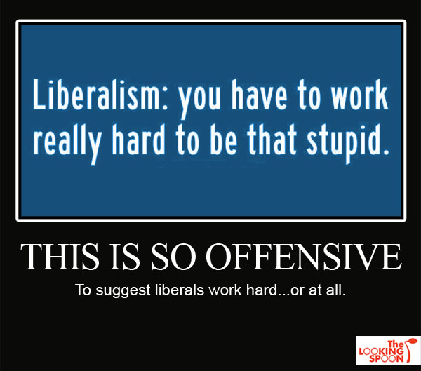 demotivational_liberals_work_hard_to_be_stupid.jpg