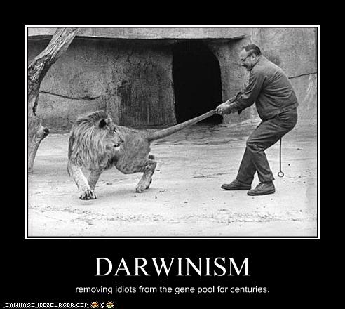 darwinism.jpg