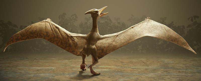 13595632.Pterosaur.jpg