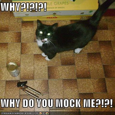 funny-pictures-cat-asks-why-you-are-mocking-him.jpg