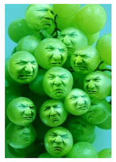 Sour-Grapes.jpg