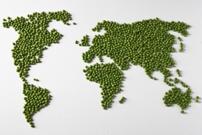 01+world+peas.jpg