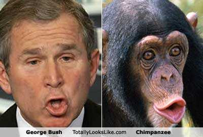 Bush+Monkey.jpg