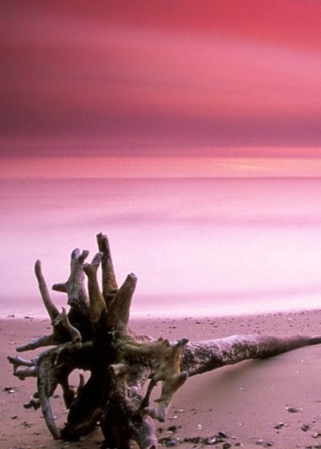 Pink-Sand-Beach-2.jpg