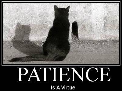 Patience-is-a-Virtue.jpg