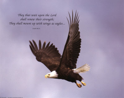 8427~Wings-as-Eagles-Posters.jpg
