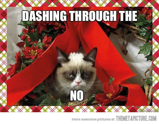 funny-angry-cat-Christmas-decorations.jpg