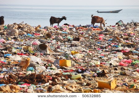 stock-photo-dump-on-the-beach-of-socotra-island-man-made-environmental-disaster-50632885.jpg