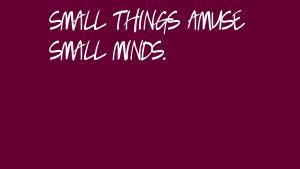 Small-things-amuse-small-minds.%5B1%5D.jpg