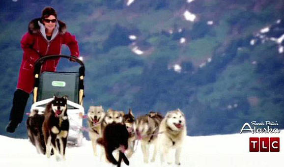 Sarah+Palin+snow-sledding+huskies+Alaska.jpg