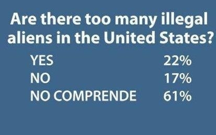are-there-too-many-illegal-aliens-in-the-united-states-yes-no-no-comprende.jpg