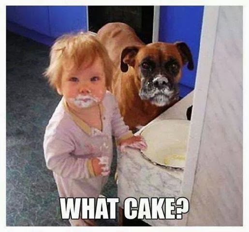 what+cake.jpg
