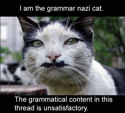 Grammar-Nazi-2.jpg
