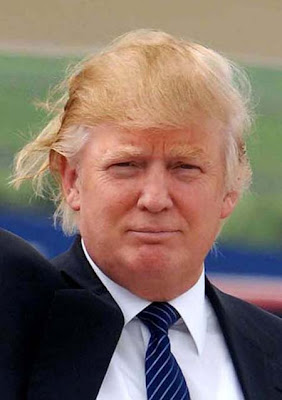 donald-trump-bad-hair-day%5B1%5D.jpg