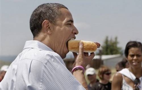 obama+hot+dog+hotdog+looks+kind+of+gay.jpg