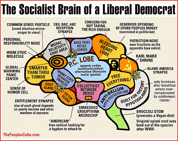 liberal-brain.gif