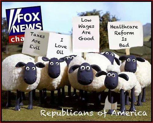 FoxNews-Sheep.jpg