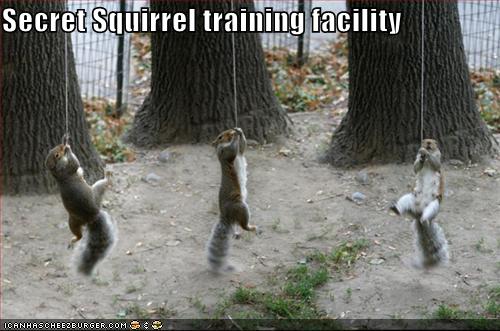 squirrel+training.jpg
