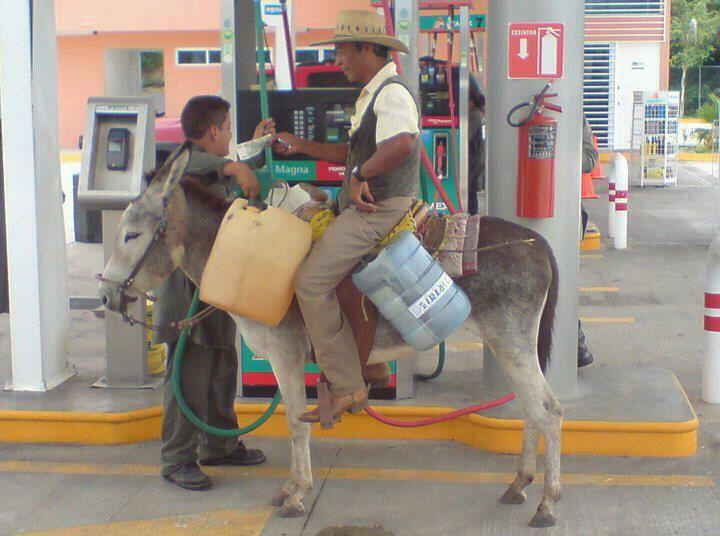 donkey+gas.jpg