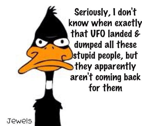 daffy+duck+stupid+people+and+aliens.jpg
