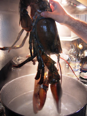 lobster+steamy+pot.JPG