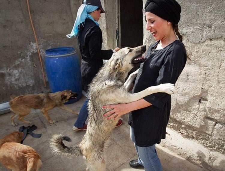 Inside-Iran-dog-shelter-volunteer.jpg