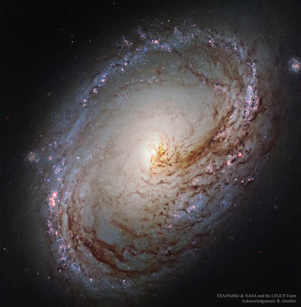 M96_Hubble_960.jpg