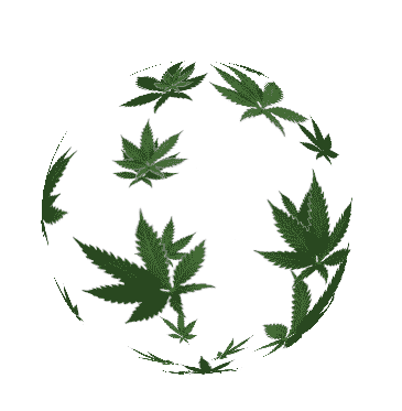 animated-hemp-marijuana-gif-9.gif