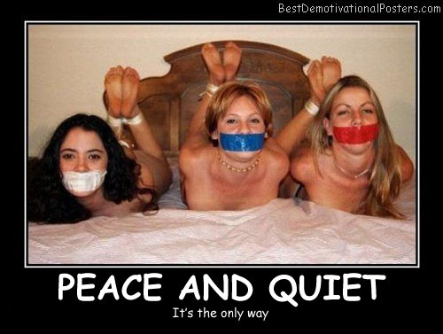Peace-And-Quiet-Best-Demotivational-Posters.jpg