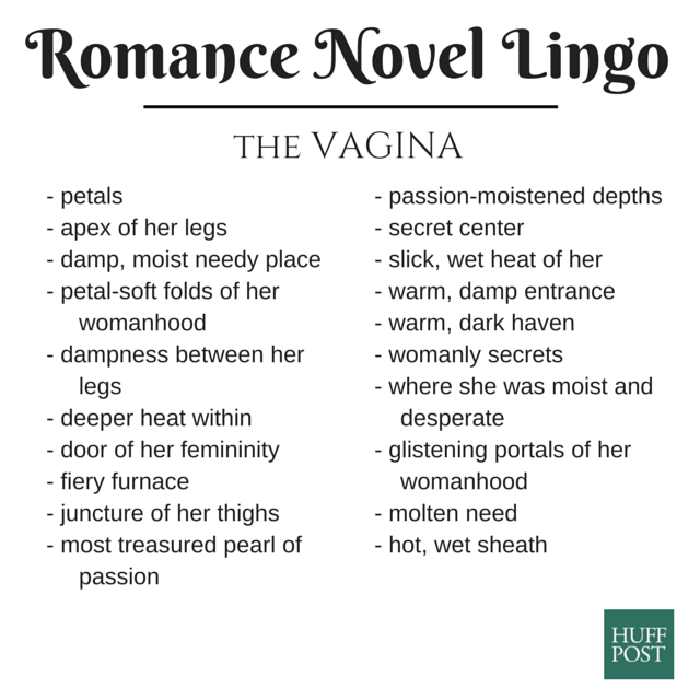RomanceNovel_vagina3.png