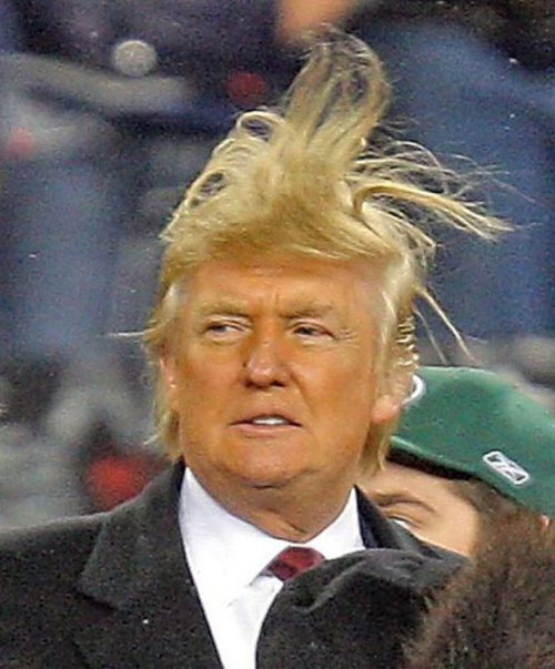 Donald-Trump-Bad-Hair-Photo-1-1.jpg
