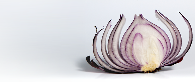 Peeling-an-onion-How-to-survive-an-IT-audit.png