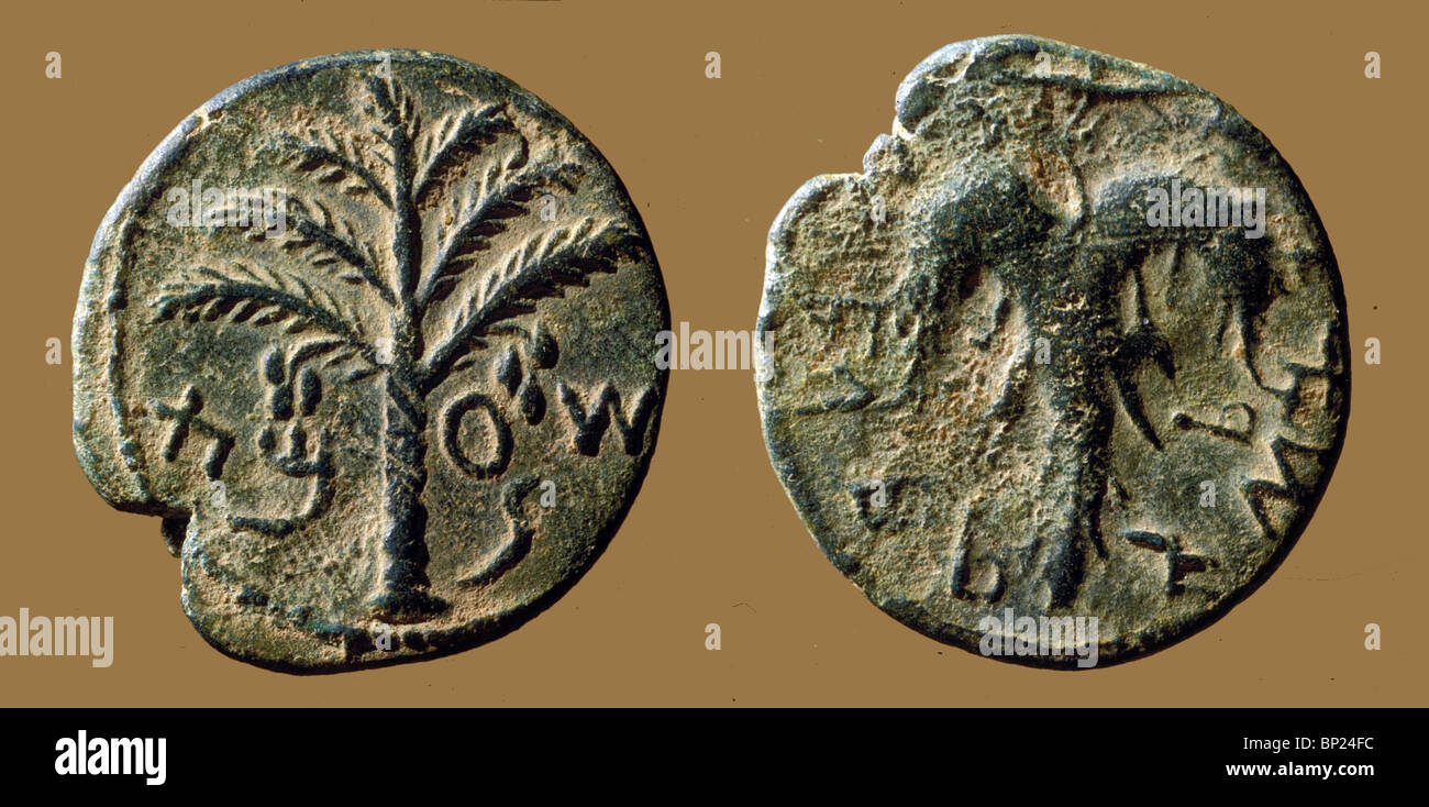 545-coins-of-the-bar-kohba-war-against-the-romans-inscribed-shimon-BP24FC.jpg