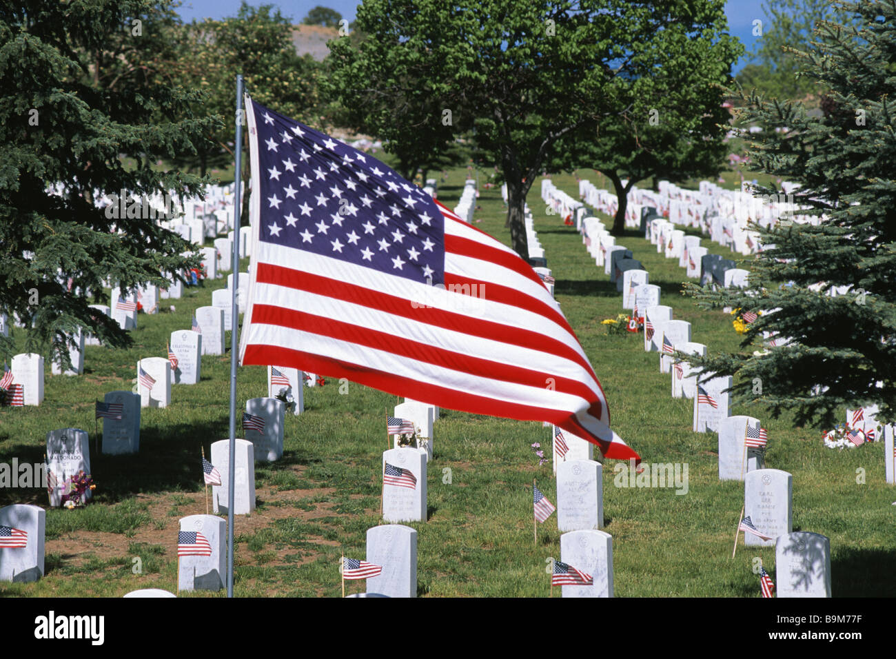 american-flag-on-memorial-day-at-us-veterans-national-cemetery-in-B9M77F.jpg