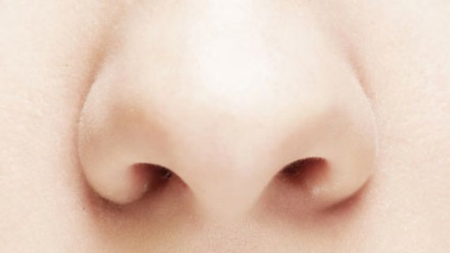 5434971-Study-Human-Nose-Can-Detect-TRILLION-Scents.jpg