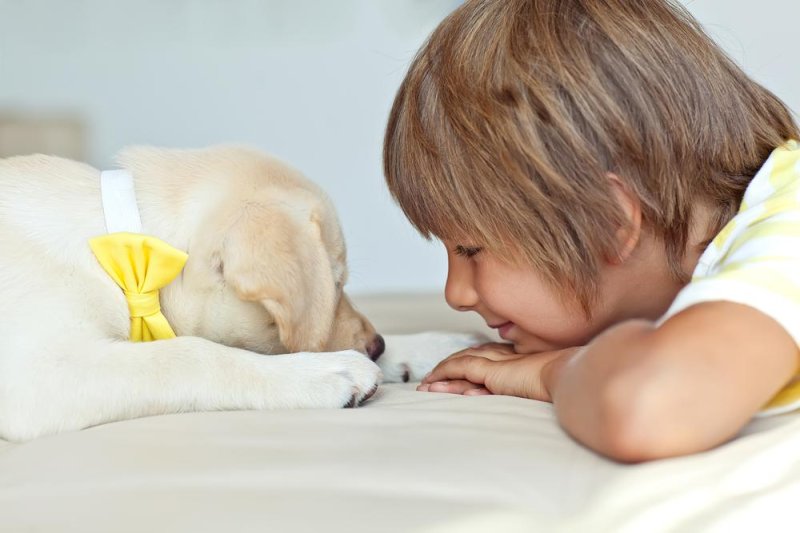 Study-Having-a-pet-dog-may-reduce-risk-of-childhood-anxiety.jpg