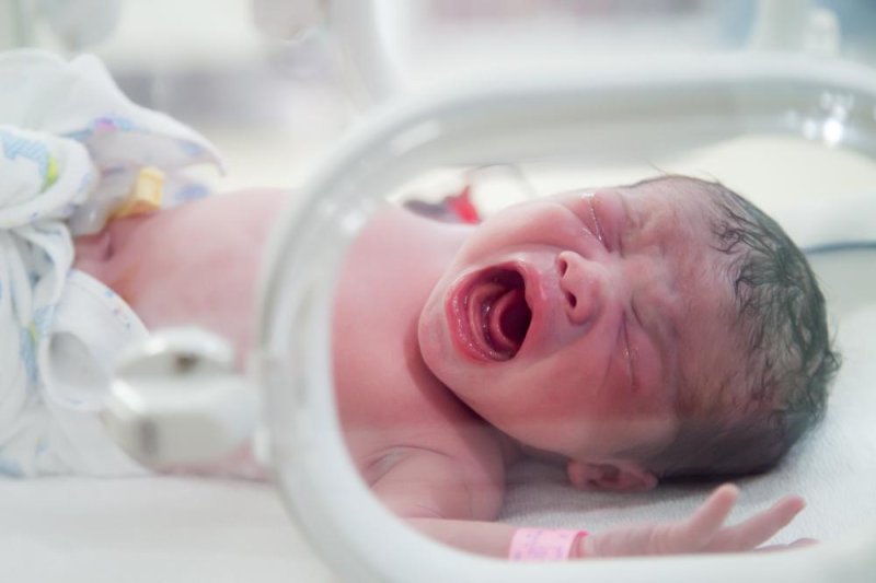 Babies-born-with-organs-outside-their-bodies-up-by-a-third.jpg