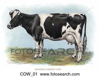vintage-illustration-dairy_~COW_01.jpg