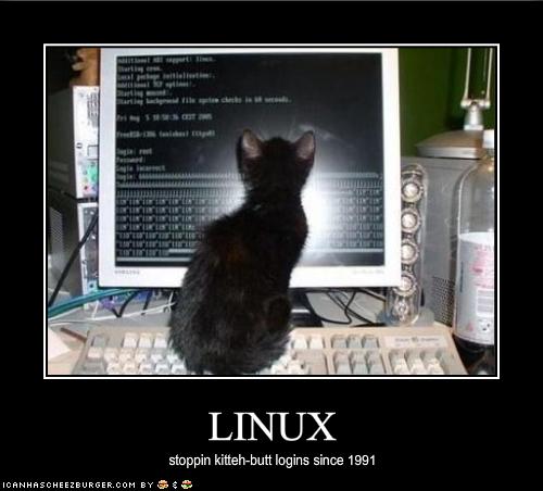 linux-cat.jpg