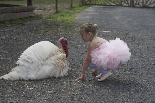 turkey-CK-vegan-ballet-slippers.jpg