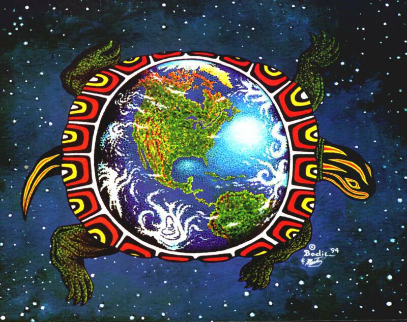 Turtle_Island_in_Outer_Space_op_800x634.jpg