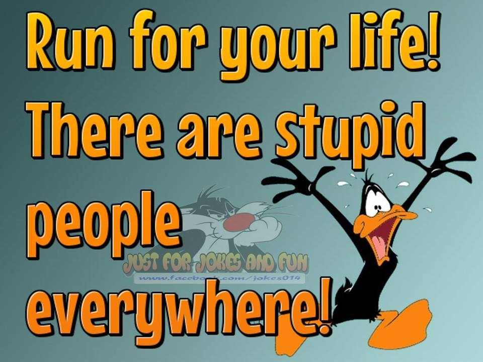 Daffy-Duck-run-stupid-people-everywhere.jpg