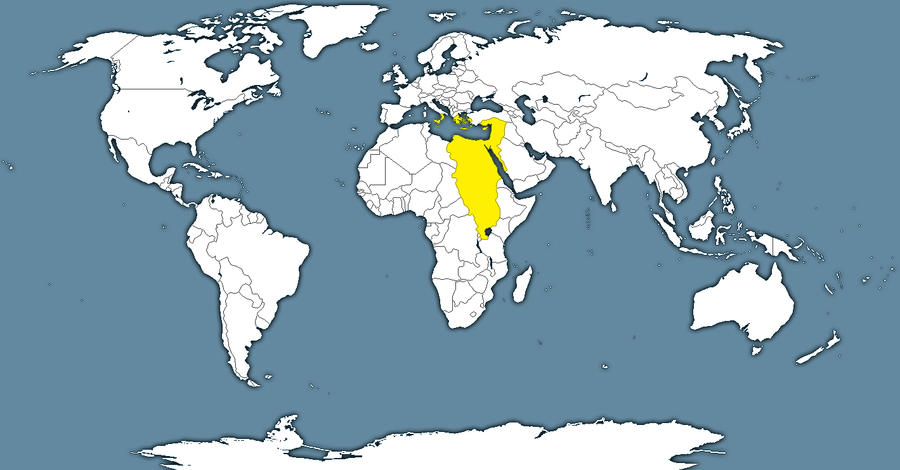 greater_egyptian_empire_by_generalhelghast-d3bs36h.jpg