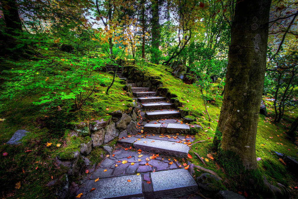 portland__stairs_of_lothlorien_by_alierturk-d6vqmsy.jpg