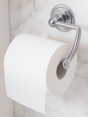 Toilet-Paper.jpg