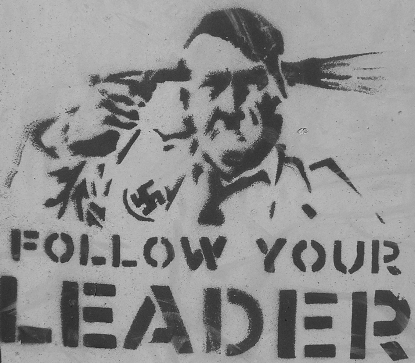 follow-your-leader1.jpg