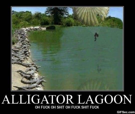 alligators-funny.jpg