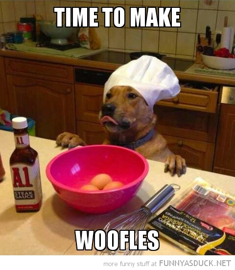 funny-dog-kitchen-chefs-hat-time-to-make-woofles-pics.jpeg