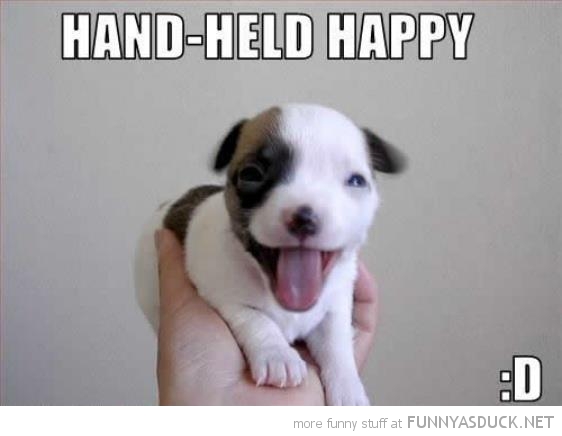 funny-puppy-cute-dog-hand-held-happiness-pics.jpg